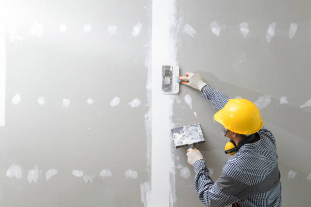 Best Mold-Related Health Consultation  in Hustisford, WI