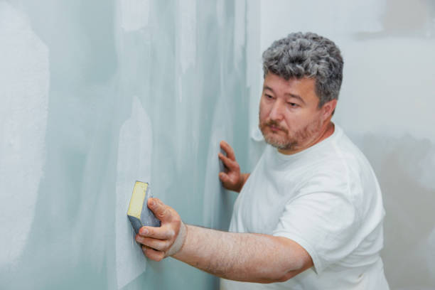 Best Mold Odor Removal Services  in Hustisford, WI