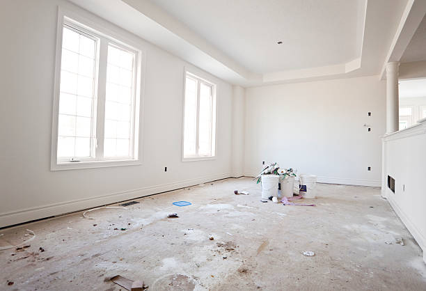 Best Attic Mold Removal  in Hustisford, WI