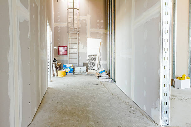 Mold Odor Removal Services in Hustisford, WI